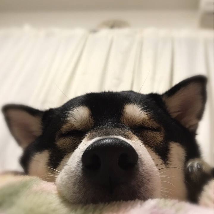 21199928 a317 4237 990d 17a2aad91989 1556902278987