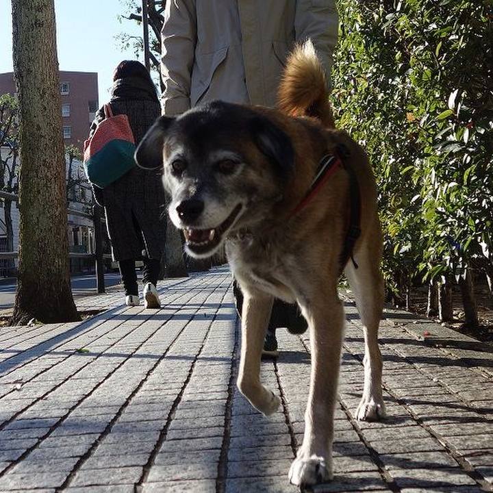 2119acd9 e871 41c5 ab8b 49565136ca52 1511574197704