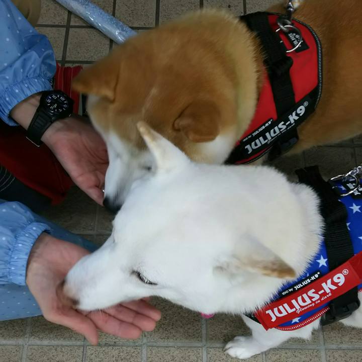 2119aeff f194 4752 80f7 376ce64d3466 1571475704157