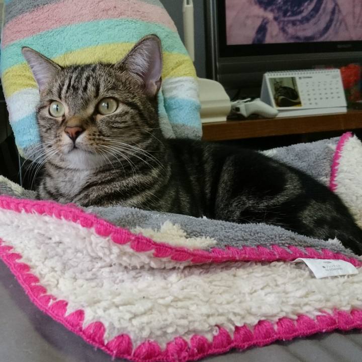 2119c0fd 6876 4186 9bbc 358e015240cf 1508632119063