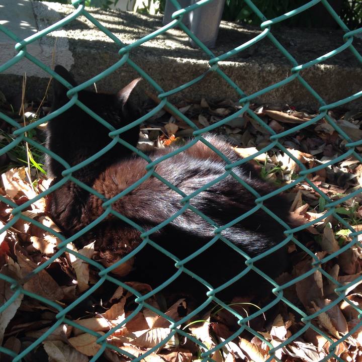 211a3e9b 94a0 4f62 883a 3f99950be3d3 1511256921216