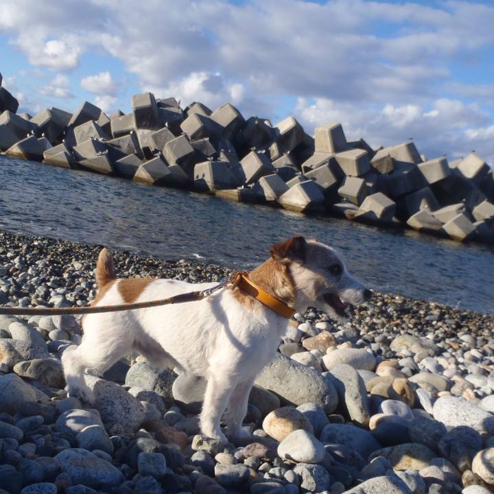 211a4c12 8195 4a03 b1f7 9c49609175ee 1542271930437