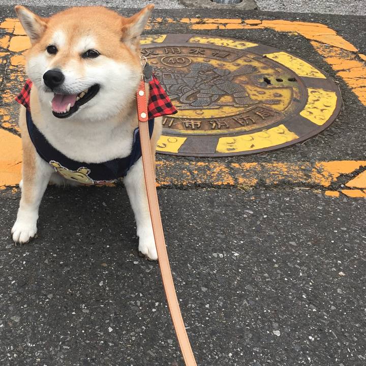 211ac10e 3a95 4e6e ba44 eb8b582215ad 1570408300240