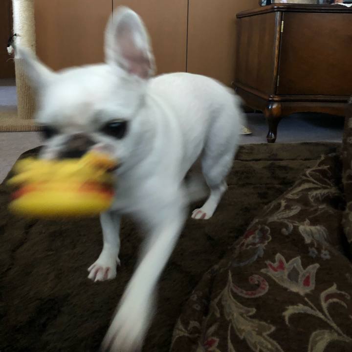 211b0829 8f64 48b6 8a25 c858048eafb2 1584775329051