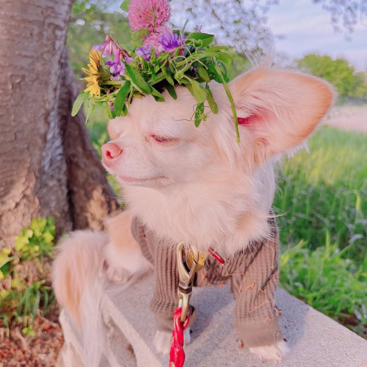 211b312f 6890 4f0e 8d3b 24b29221d07a 1681905468143