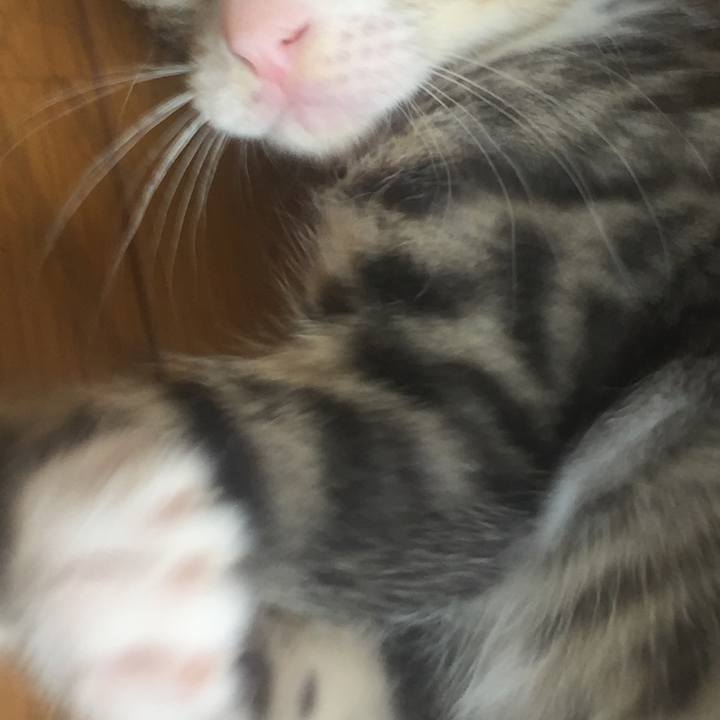 211b388a 7123 47c1 bd92 d8f264fb457b 1652940422059