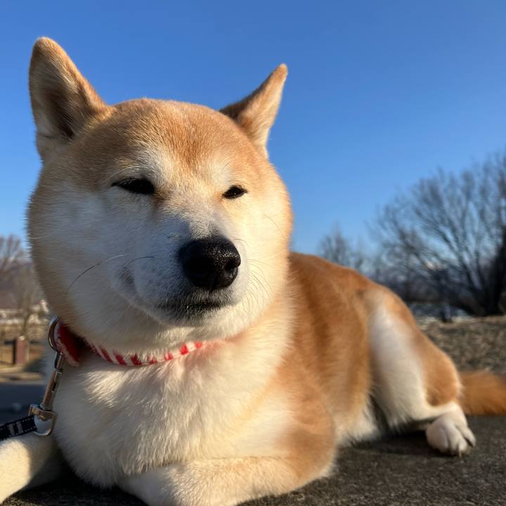 211b3fa6 8797 4685 85ea 420054d1ff1a 1771658033754