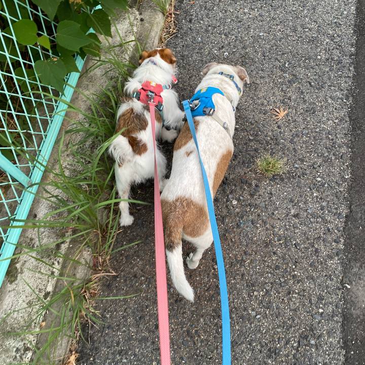 211b6068 9a19 435e 9a52 e025b8f83a50 1694125924332