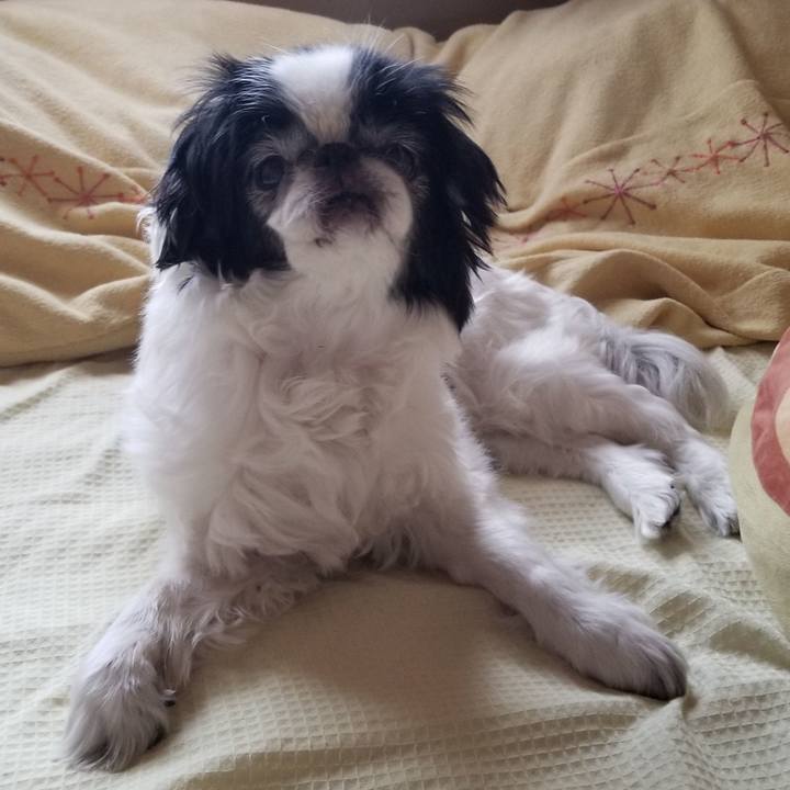 211b71c5 1ffb 4ade a19c 832023d9dc26 1582426072083