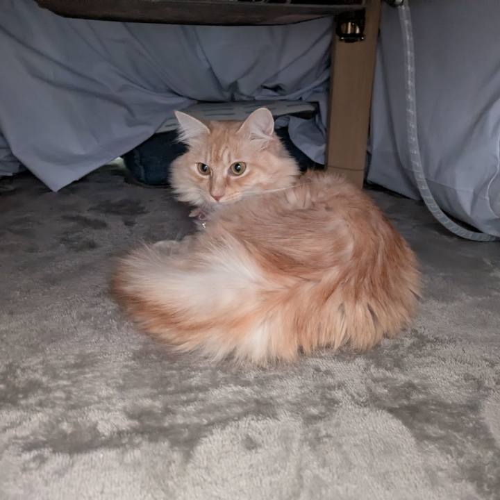 211b7778 ff54 4871 9167 f56578549c9b 1734400655833