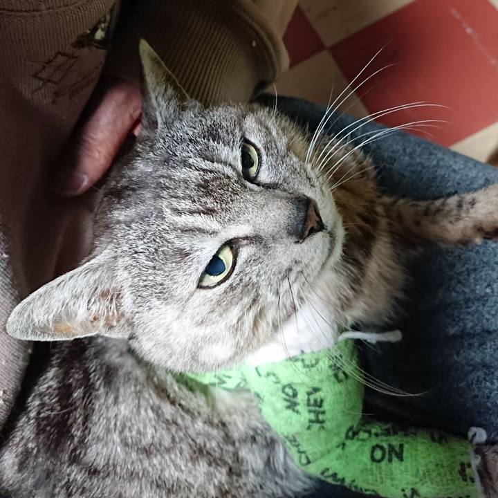 211ba21a d006 49c4 b392 6d93d6b971ae 1587584131672