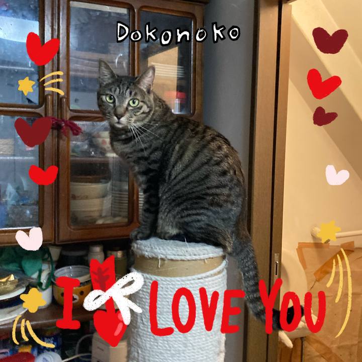 211bc874 bf8d 48f4 b893 da76145f7f35 1706916529885