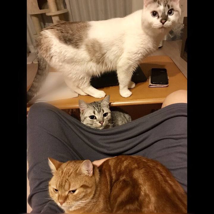 211bf912 b178 454d 95f6 b6b4bdacac79 1510486614035