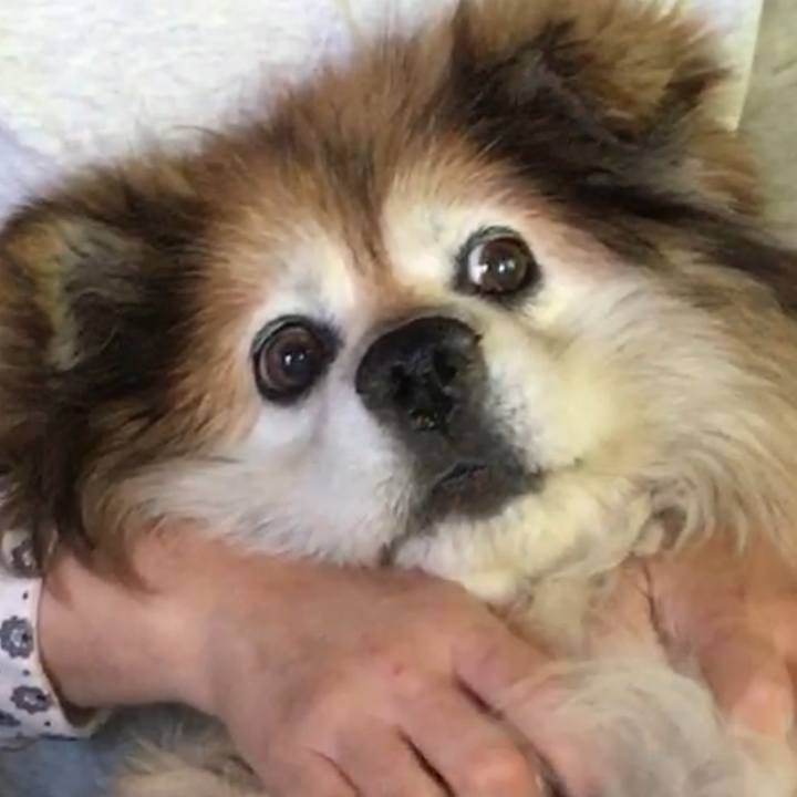 211c00db 83a9 4a39 b96c bd870b339b4e 1634449978653