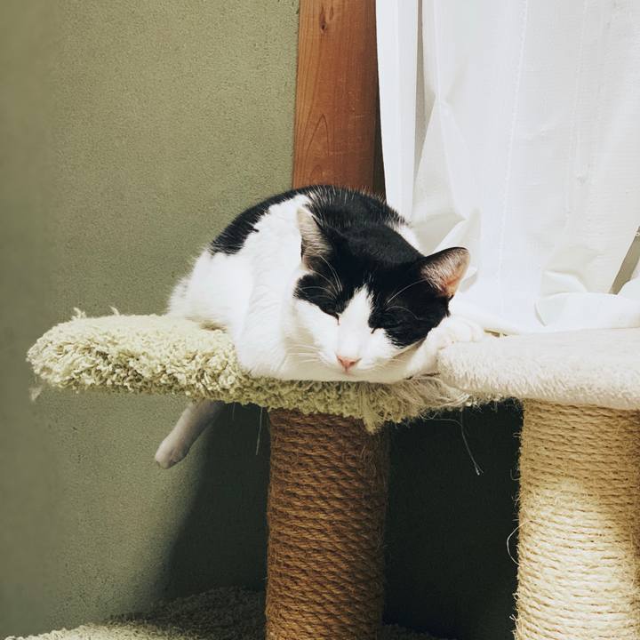 211c2de5 f7b5 4b6d be0c 600967d25bc6 1554258142287