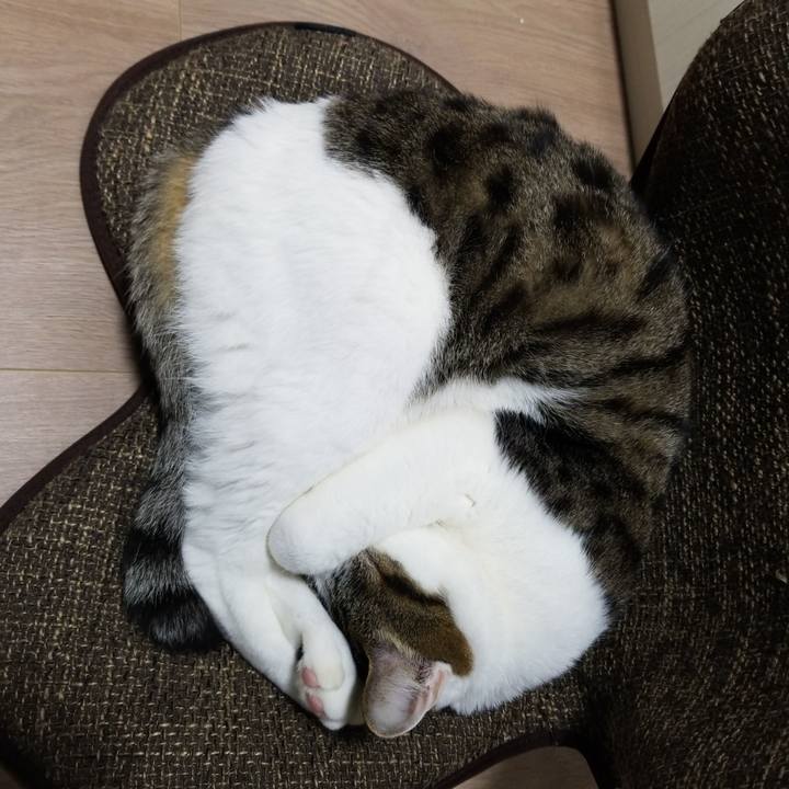 211c3465 18ea 42a3 9430 6962ee343a4c 1587191563628