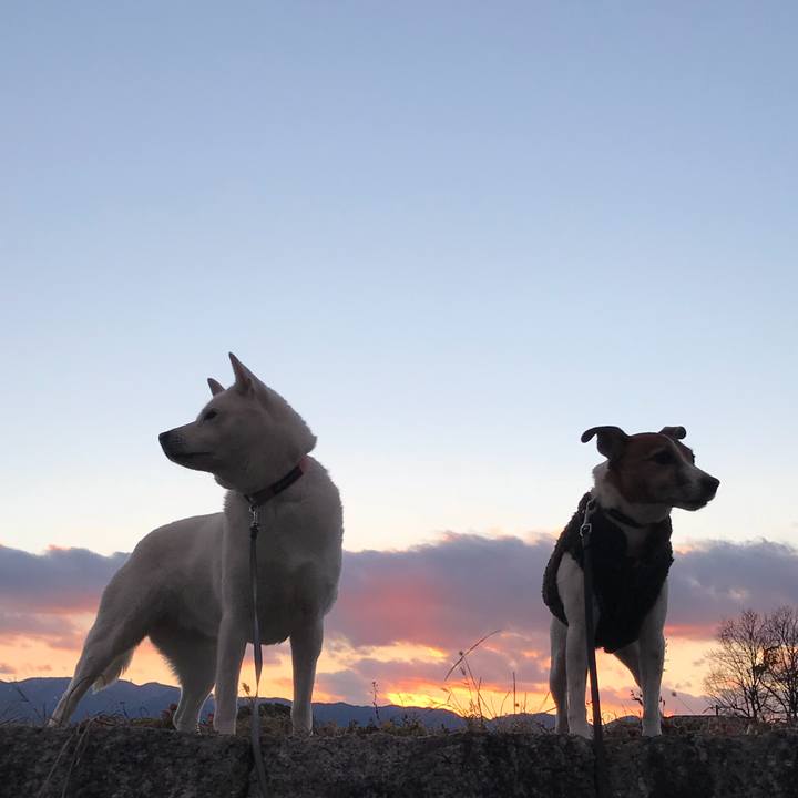 211c98fb 30d5 427b 86b1 2b47a9f78e5c 1517735598579