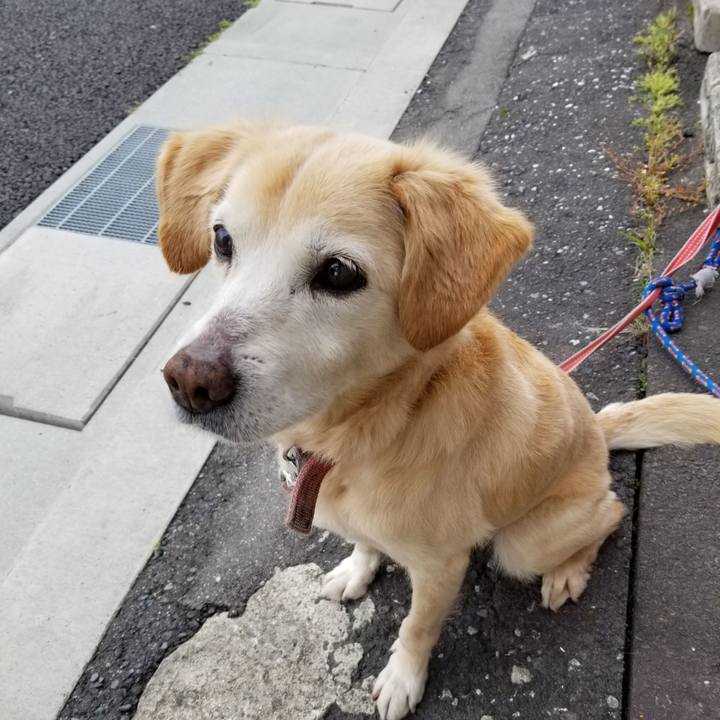 211cbc64 0791 428c 93ac 1d7ee44e3aeb 1652824804813