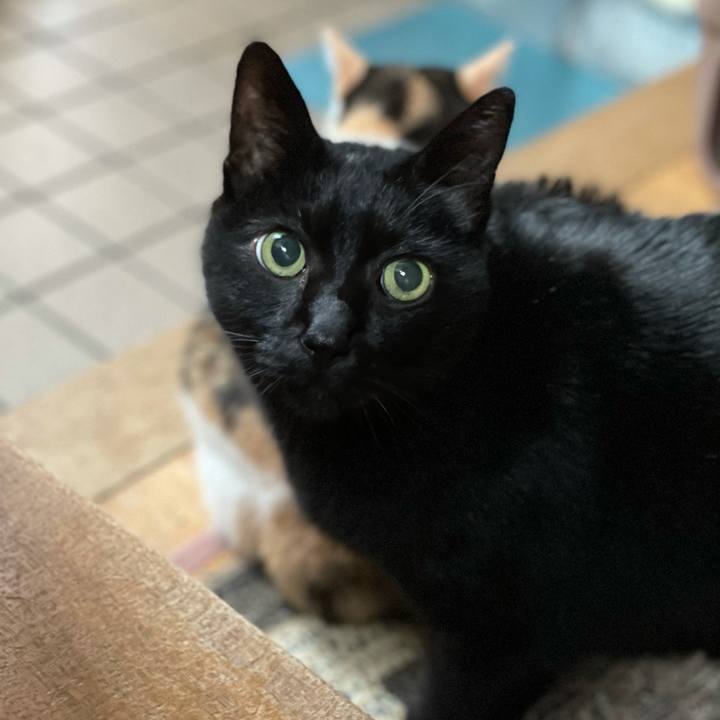 211cc822 a102 4f7b a77b 1ed3674b6438 1605058266631