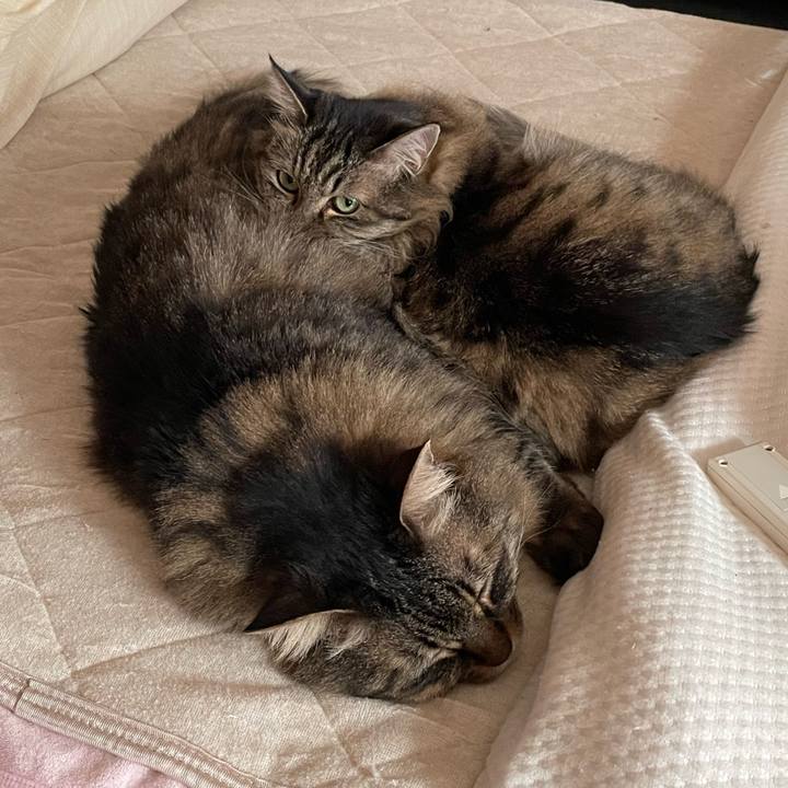 211cd2d2 c195 47a2 933a 8db5dec84451 1768730442759