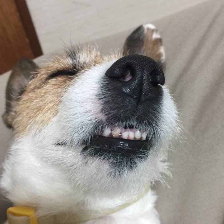 211cda33 135a 4dc3 b4a8 789ffad574d6 1520945597482