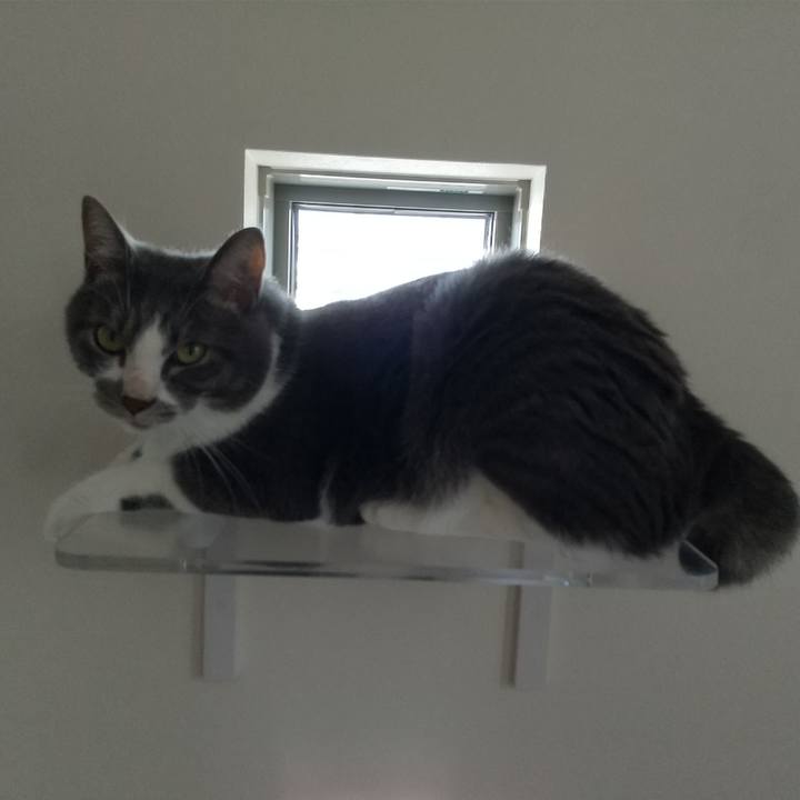 211d196d e8dc 4a4e 98ae a13af7559cfa 1625896587725