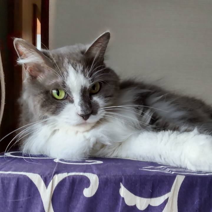 211d202f 7c37 4d8e bc54 dceea41c7516 1720681989616