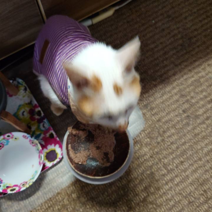 211d505c 52b6 4bcf 9229 6b2816cbf0b2 1773040336810