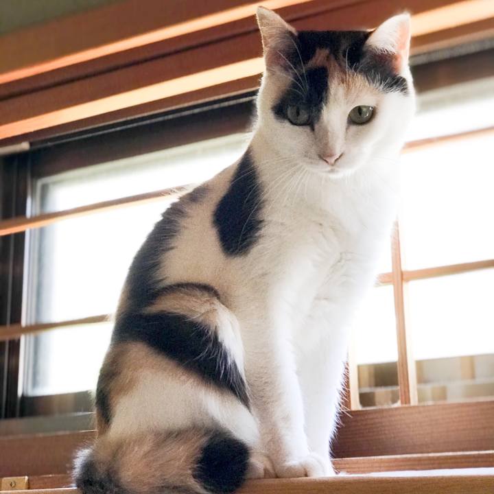 211d50b9 40f0 4163 9499 ff1010e48fb3 1532048487389