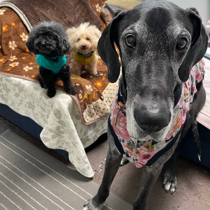 211d8872 396c 4872 b4f9 062a23bcbd83 1615503617061