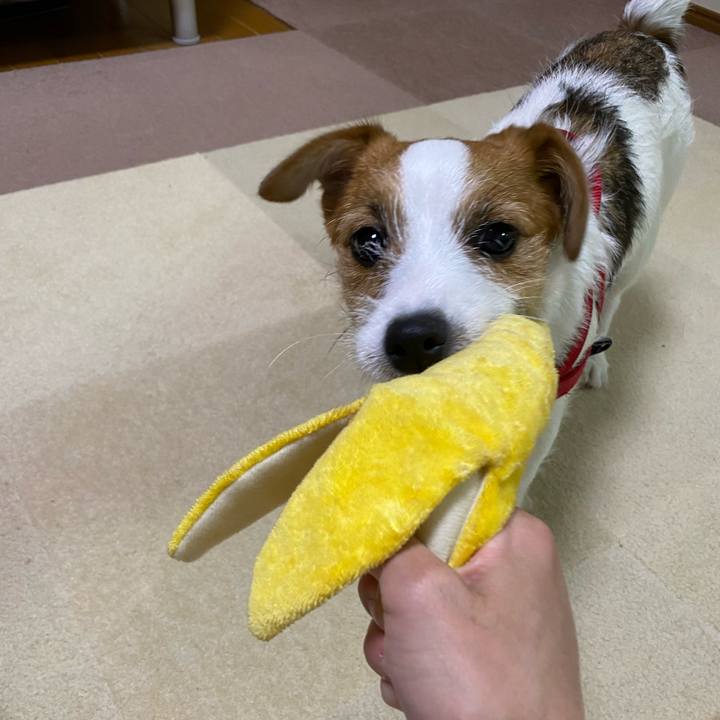 211e080d 7ead 40cc 9af4 0439d1fb3934 1623937718897