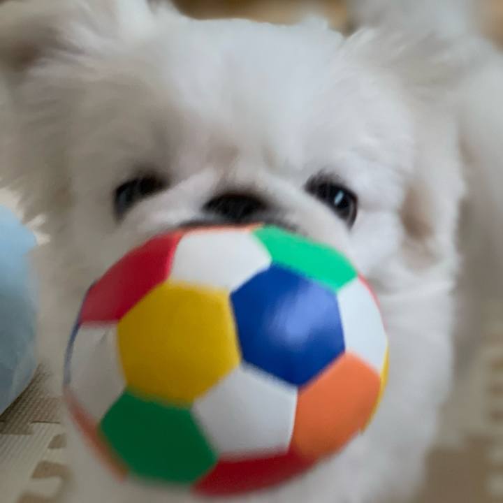 211e1466 00ae 427b ba19 5a3ee2a785f6 1664152181239