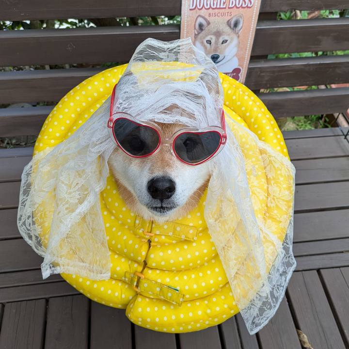 211e2102 c8f6 427e 8279 af8586f5bc35 1757984071385