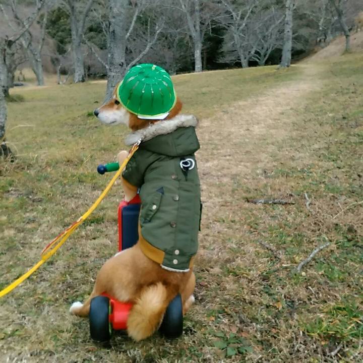 211e308f 32b6 4e79 90b6 3b40f2afb355 1545641560125