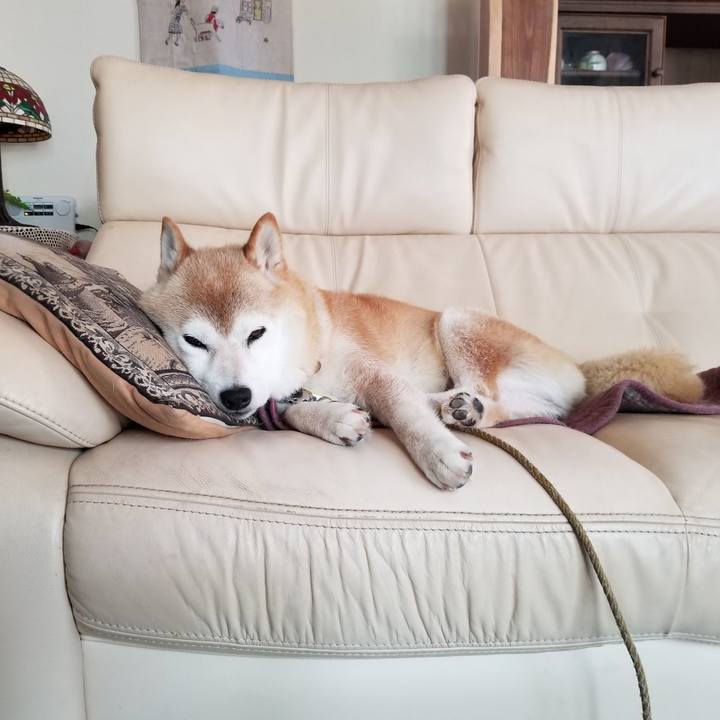 211e3a06 fb13 4152 bfaf 0e8e6b5cbcb5 1658969609411