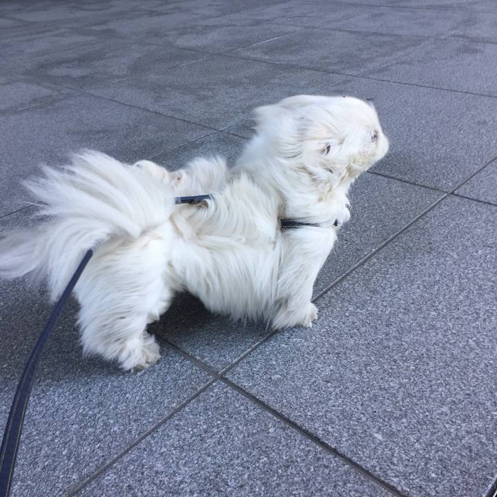 211e4ccf 389c 4359 82a1 1d14d5c0e1a5 1518401763734