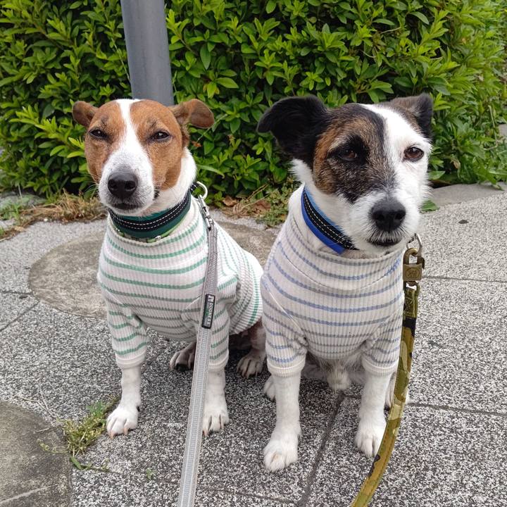 211e648e 2616 4f95 b498 b2d4f84a4971 1684449653951