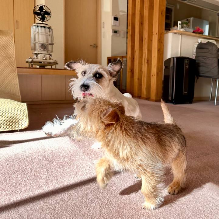 211e81e0 c53f 4c1f a5bb 06f48795c8c5 1704638561398