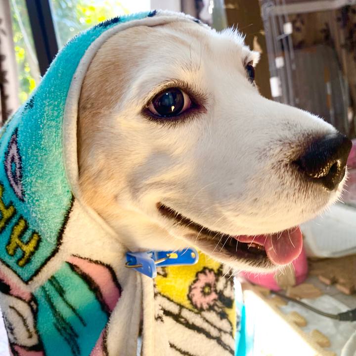 211e9073 bb86 42ae bd91 8ba4b6bc9eef 1643777777660