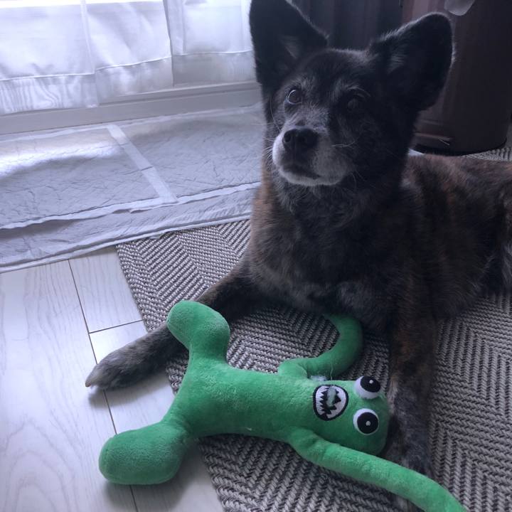 211e9844 59e1 47aa a0b4 895f999cd316 1685153087647