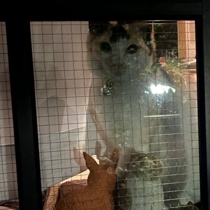 211e9a84 6802 4445 9f30 c36235df2cf7 1682600698396