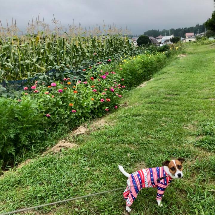 211eab3a ba66 4656 9158 ddc9ab70e051 1566652581921