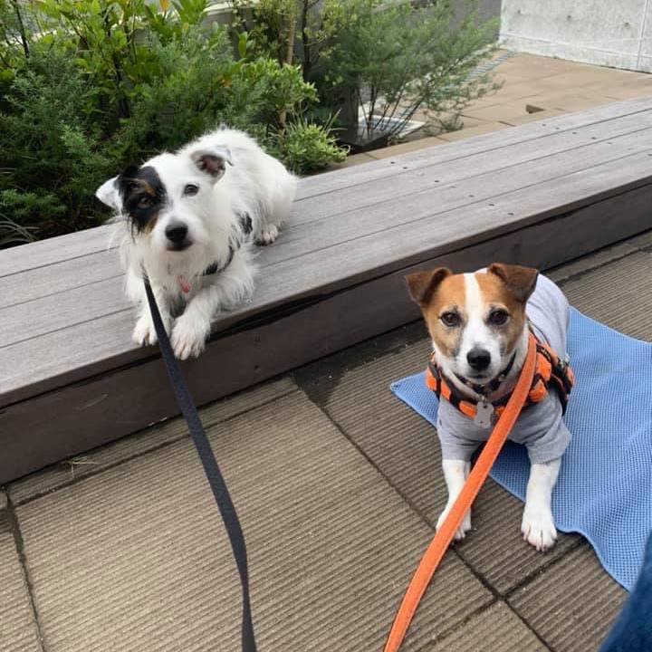 211ede96 6ae4 44f9 a001 410ba57af124 1658150420481