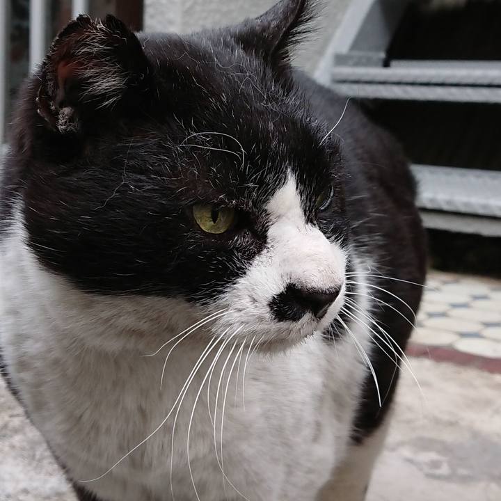 211f4398 67fc 4972 8584 8247b4b11621 1642917895544