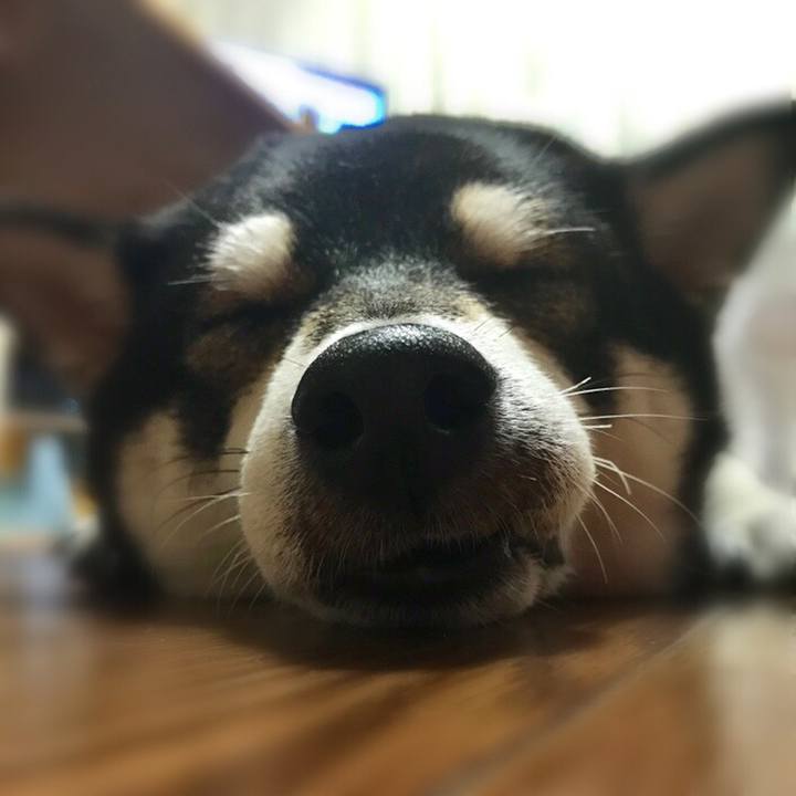 211f5157 ce9e 4acc 8009 a41c72dbf634 1563969290713