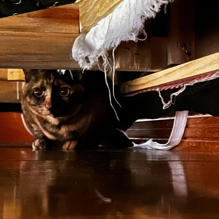 211f8118 af84 4344 aec0 1cc2eaf31a8b 1727042714574