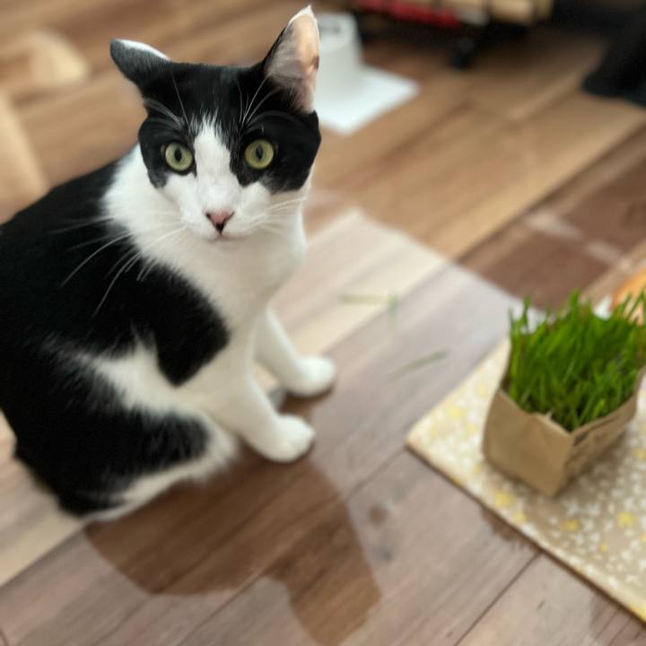 211f9fc2 c9bd 4df0 bd94 91c46b2d1a39 1730019376892