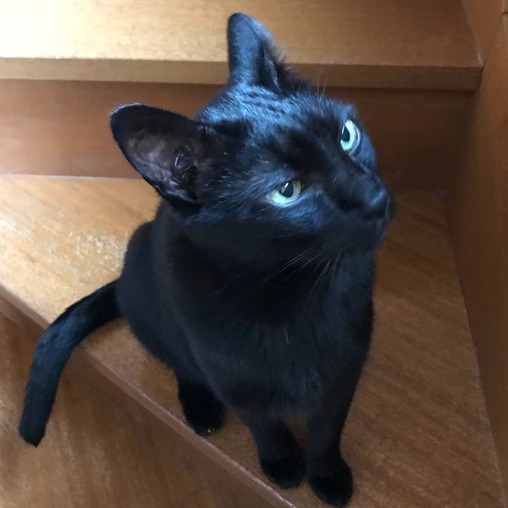 211fff97 01b5 418d a2f5 59e6016b8524 1535854865492