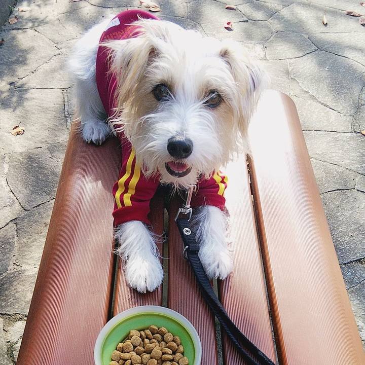 212004bd 5164 4d59 9d4a 3a93c5d6b2e7 1573968320010