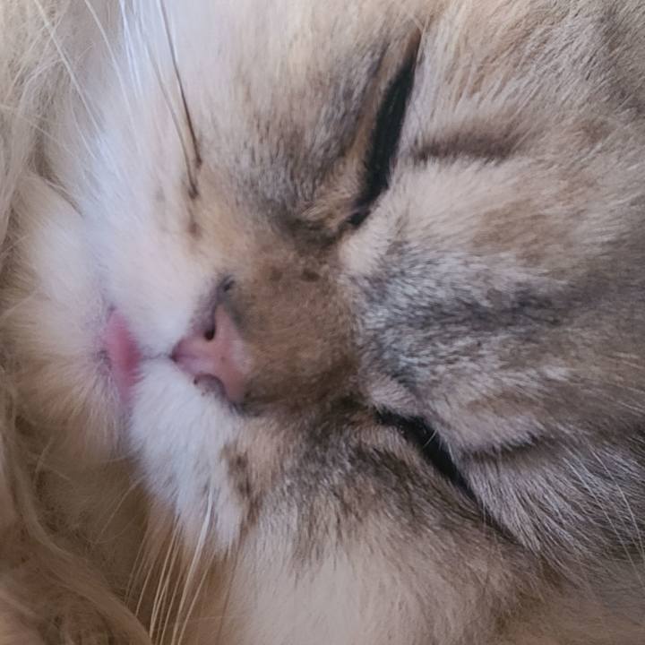 21202c5a 53a8 430a bb35 5dcef09d7c15 1645857052716